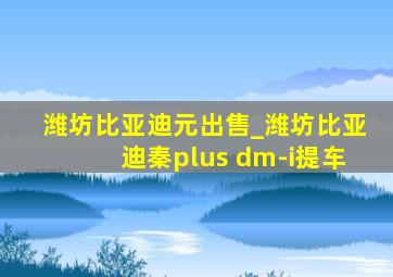 潍坊比亚迪元出售_潍坊比亚迪秦plus dm-i提车